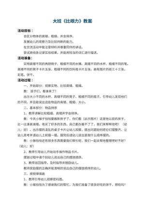 幼儿园大班教案《比眼力》 包含反思预览