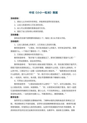 幼儿园中班教案《小小一粒米》 包含反思预览