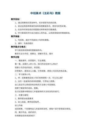 幼儿园中班美术教案《五彩鸟》 包含反思预览