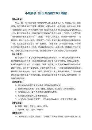 幼儿园小班科学《什么东西飘下来》 包含反思