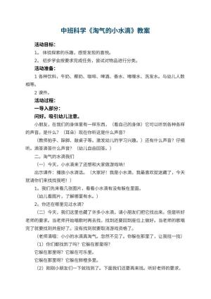 幼儿园中班科学优秀教案《淘气的小水滴》 包含反思预览