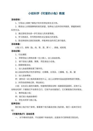 幼儿园小班科学教案《可爱的小兔》 包含反思预览