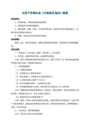 幼儿园大班下学期社会教案《大鲸鱼在海边》 包含反思预览