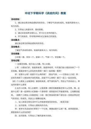 幼儿园中班下学期科学教案《调皮的风》 包含反思预览