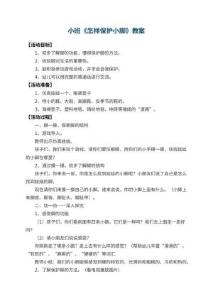 幼儿园小班教案《怎样保护小脚》预览