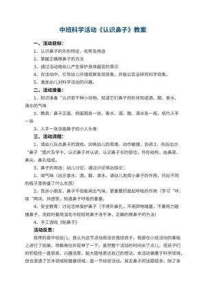 幼儿园中班科学活动教案《认识鼻子》 包含反思预览