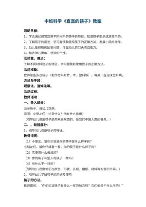 幼儿园中班科学教案《直直的筷子》 包含反思预览