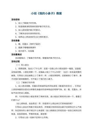 幼儿园小班教案《我的小鼻子》 包含反思预览