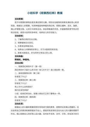 幼儿园小班科学教案《观察西红柿》 包含反思