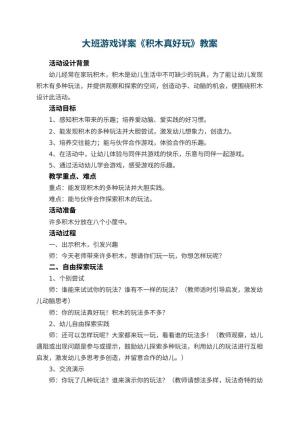 幼儿园大班游戏详案教案《积木真好玩》 包含反思预览
