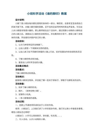 幼儿园小班科学活动教案《谁的脚印》 包含反思预览