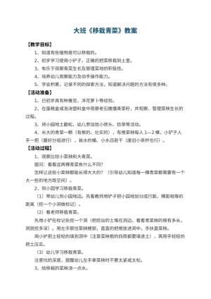 幼儿园大班教案《移栽青菜》 包含反思