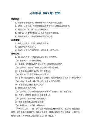 幼儿园小班科学教案《种大蒜》 包含反思