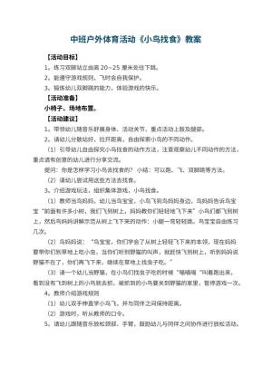 幼儿园中班户外体育活动《小鸟找食》预览