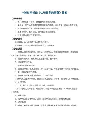 幼儿园小班科学活动教案《认识野花和野草》预览