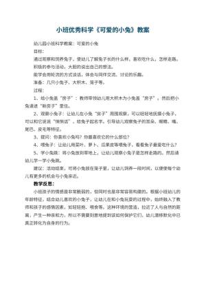 幼儿园小班优秀科学教案《可爱的小兔》 包含反思预览