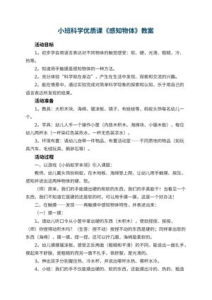 幼儿园小班科学优质课教案《感知物体》 包含反思预览