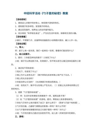幼儿园中班科学活动教案《勺子里的秘密》 包含反思
