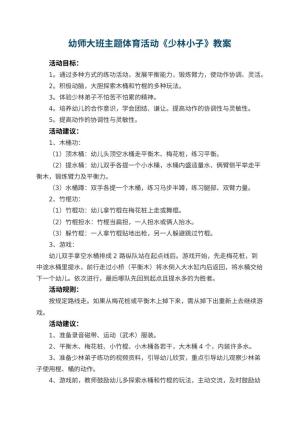幼儿园幼师大班主题体育活动教案《少林小子》预览