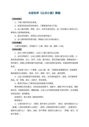 幼儿园大班科学教案《认识小麦》 包含反思