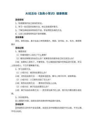 幼儿园大班活动《急救小常识》健康教案预览