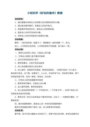 幼儿园小班科学教案《好玩的魔术》 包含反思