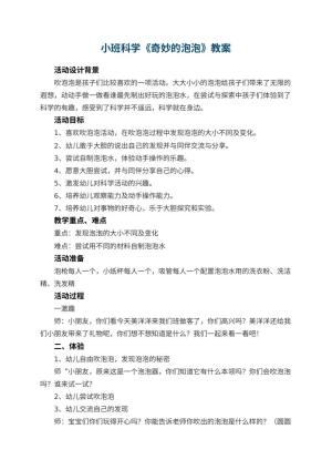 幼儿园小班科学《奇妙的泡泡》优秀教案 包含反思预览