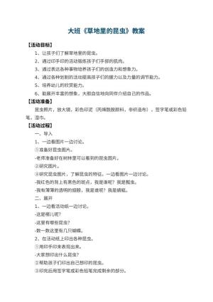 幼儿园大班教案《草地里的昆虫》预览