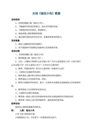 幼儿园大班教案《留住小鸟》