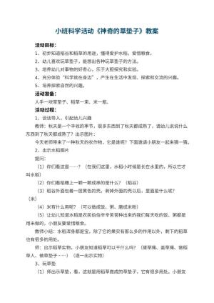 幼儿园小班科学活动教案《神奇的草垫子》 包含反思预览