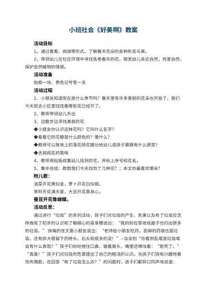 幼儿园小班社会教案《好美啊》预览