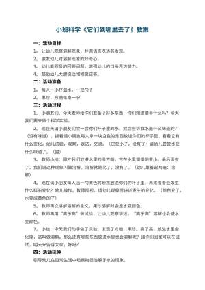 幼儿园小班科学优秀教案《它们到哪里去了》 包含反思预览