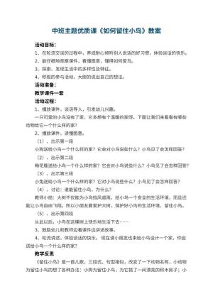 幼儿园中班主题优质课教案《如何留住小鸟》 包含反思预览