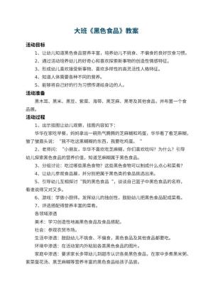 幼儿园大班教案《黑色食品》预览