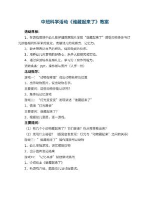 幼儿园中班科学活动教案《谁藏起来了》