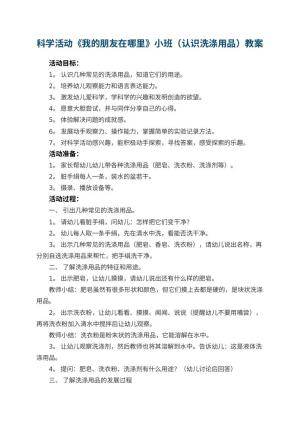 幼儿园科学活动《我的朋友在哪里》小班教案（认识洗涤用品）