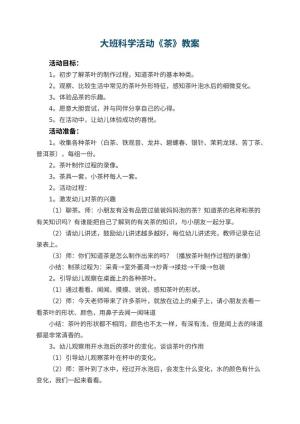 幼儿园大班科学活动《茶》教案预览