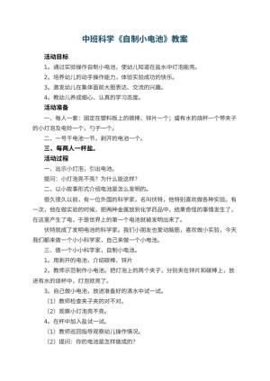 幼儿园中班科学教案《自制小电池》 包含反思预览