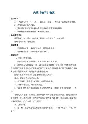 幼儿园大班教案《梳子》 包含反思预览