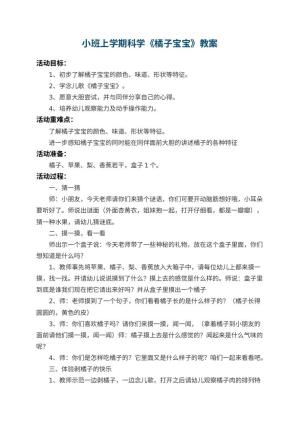 幼儿园小班上学期科学教案《橘子宝宝》 包含反思预览