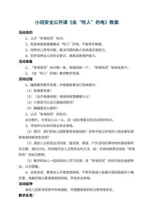 幼儿园小班安全公开课教案《会“咬人”的电》 包含反思