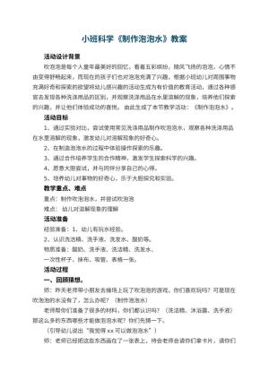 幼儿园小班科学教案《制作泡泡水》 包含反思预览