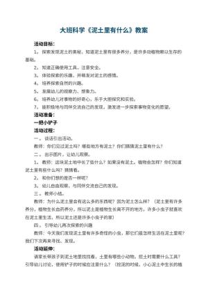 幼儿园大班科学《泥土里有什么》教案 包含反思预览