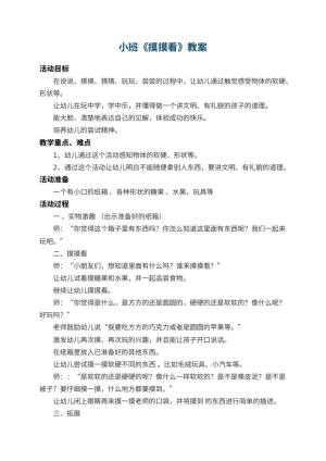 幼儿园小班教案《摸摸看》 包含反思预览