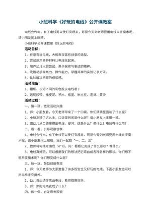 幼儿园小班科学《好玩的电线》公开课教案 包含反思预览