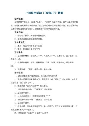 幼儿园小班科学活动教案《飞起来了》 包含反思