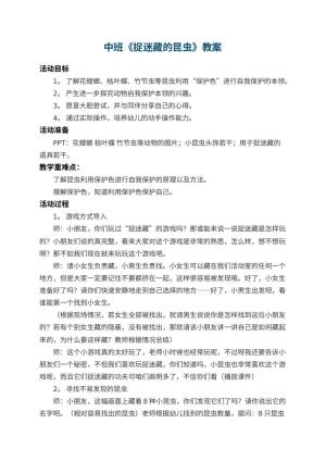 幼儿园中班教案《捉迷藏的昆虫》 包含反思