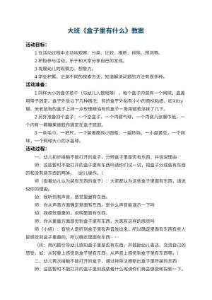 幼儿园大班教案《盒子里有什么》 包含反思