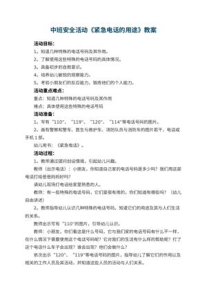 幼儿园中班安全活动教案《紧急电话的用途》 包含反思预览
