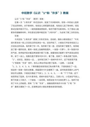 幼儿园中班数学《认识“1”和“许多”》教案